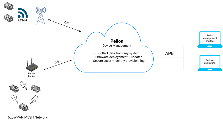 Schematic Organization